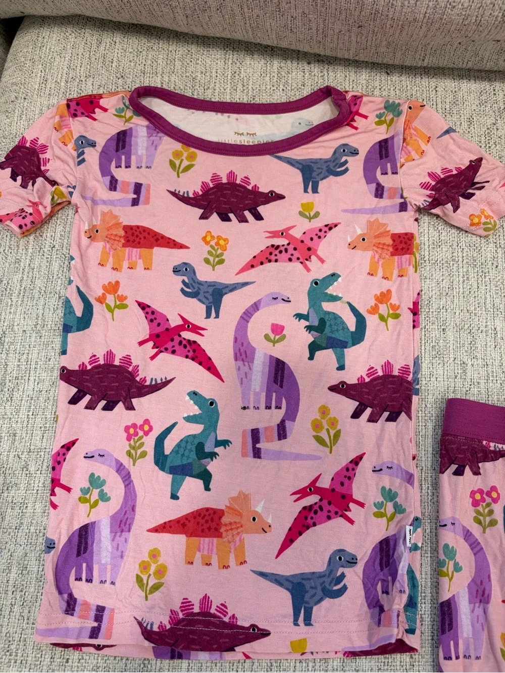 Little Sleepies Pink Dinosaur pajama Set with Purple & Teal Accents